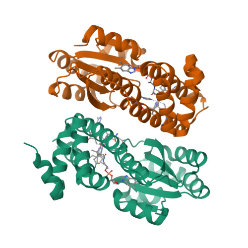 Merr Ribbon Structure RCSB PDB - 8JBS: B12-binding domain from Chloracidobacterium ...