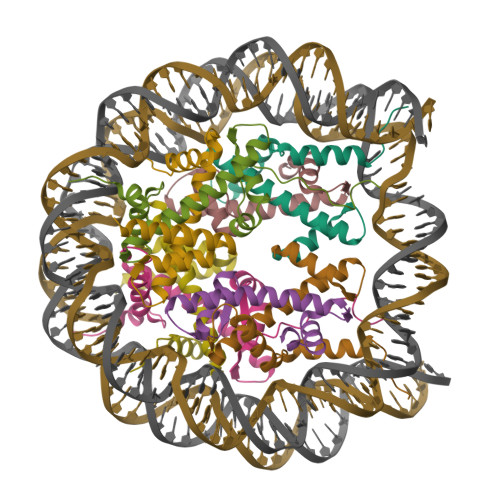 RCSB PDB - 8JBX: Human canonical 601 DNA nucleosome