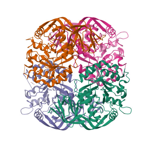 RCSB PDB 8JE0 A Novel Amidohydrolase