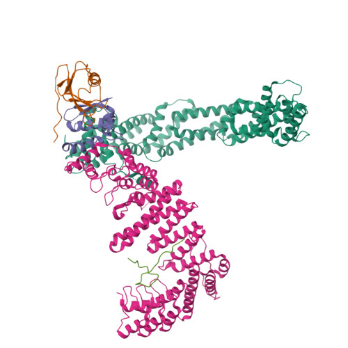 Folliculin-interacting protein 1 structure