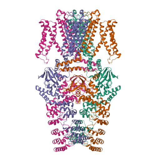 rcsb pdb - 6pt7: structure of kate1 catalase from... RCSB PDB - 8JEU: Conformation 2 of the plant potassium channel SKOR