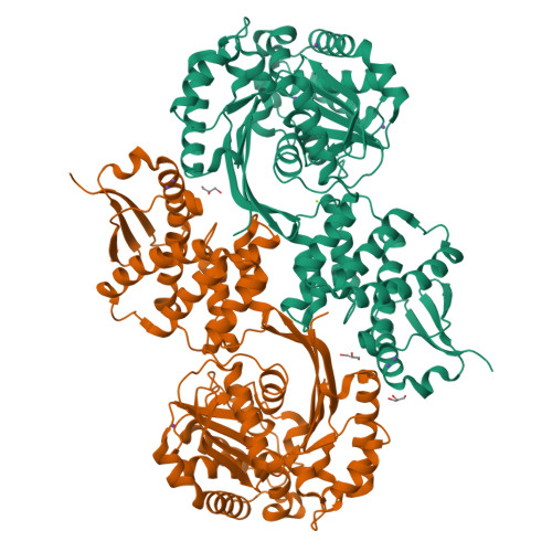 RCSB PDB - 8JGW: Crystal structure of Klebsiella pneumoniae ...