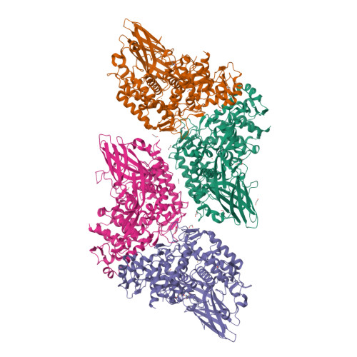 RCSB PDB - 8JI8: Crystal Structure of Prophenoloxidase PPO6 chimeric ...