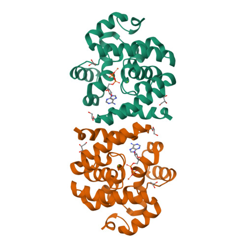 Distinction I〜Ⅳ、Structures RCSB PDB - 8SCV: Crystal structure of IRAK4-HSA complexed