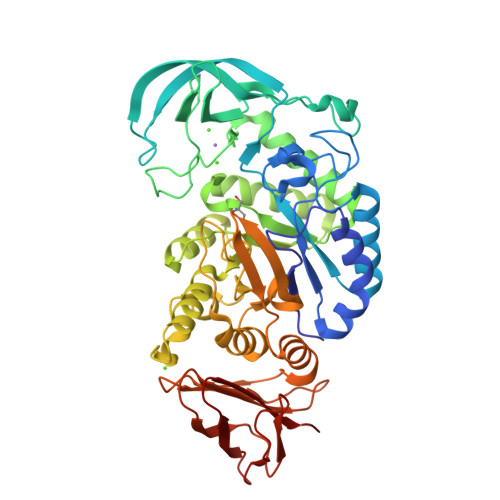 TTTTT様 Dynamite Mach 2 Big Red .28 w/Pull Spin Start Combo - BeachRC.com