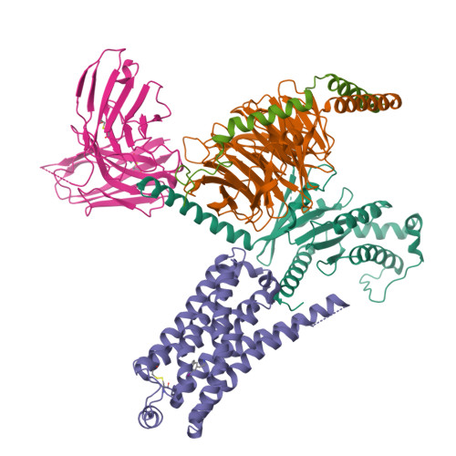 Trace amine-associated receptor 1 structure