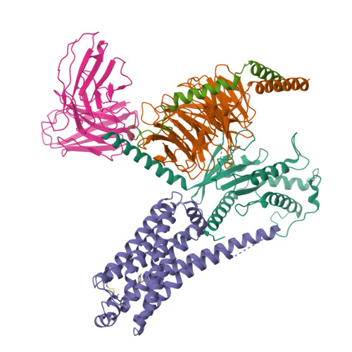Trace amine-associated receptor 1 structure