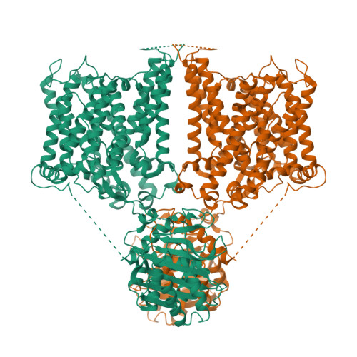 RCSB PDB - 8JNJ: Structure of R932A/K1147A/H1148A mutant AE2