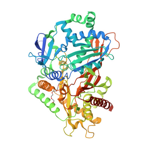 RCSB PDB - 8JOR: Structure of an acyltransferase involved in ...