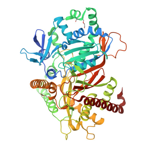 RCSB PDB - 8JOS: Structure of an acyltransferase involved in ...