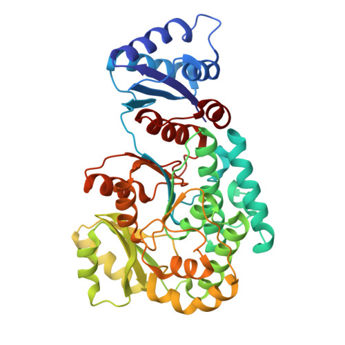 RCSB PDB - 8JPT: Crystal Structure of the acyltransferase domain from ...