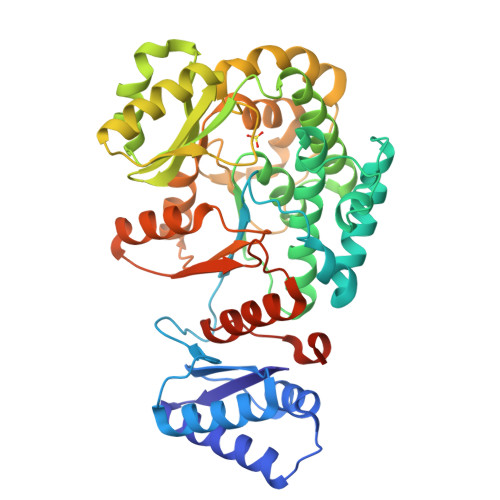 RCSB PDB - 8JPU: Crystal Structure of the acyltransferase domain from ...