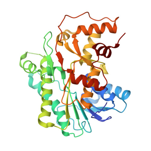 RCSB PDB - 8JQJ: Crystal structure of carbonyl reductase SSCR mutant 1 ...