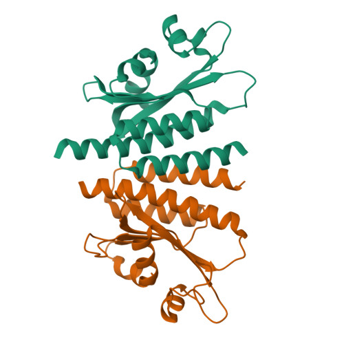 RCSB PDB - 8JRC: Crystal structure of the GAF domain of the ...