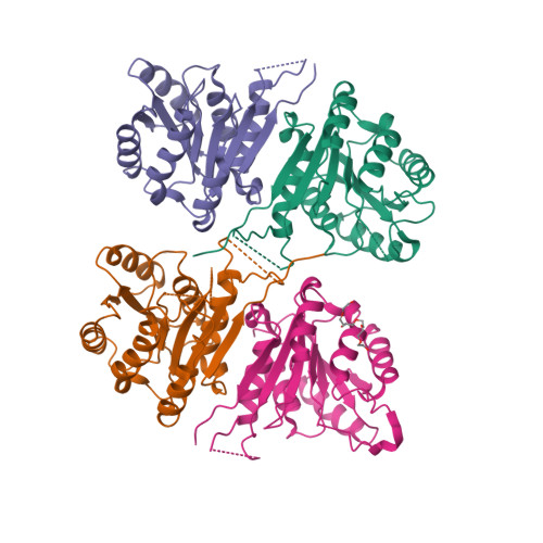 Rcsb Pdb Jtp Crystal Structure Of Apo Enoyl Acyl Carrier Protein Reductase Fabi From