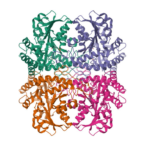 RCSB PDB - 8JUI: Crystal structures of Cystathionine beta lyase from ...