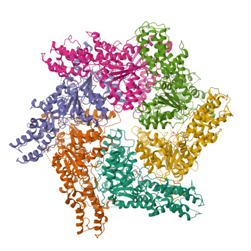 RCSB PDB - 8JUW: Human ATAD2 Walker B mutant-H3/H4K5Q complex, ATP state