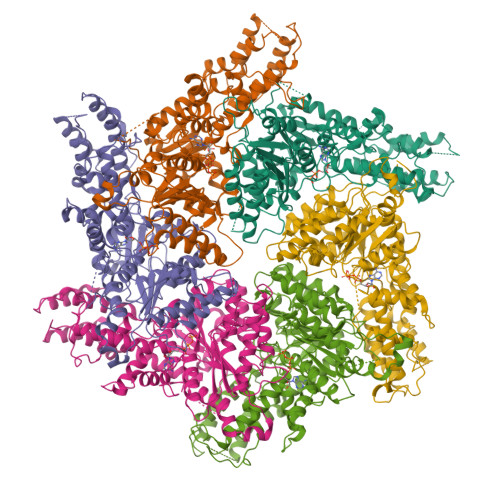 RCSB PDB - 8JUZ: Human ATAD2 Walker B mutant-H3/H4K5Q complex, ATP ...