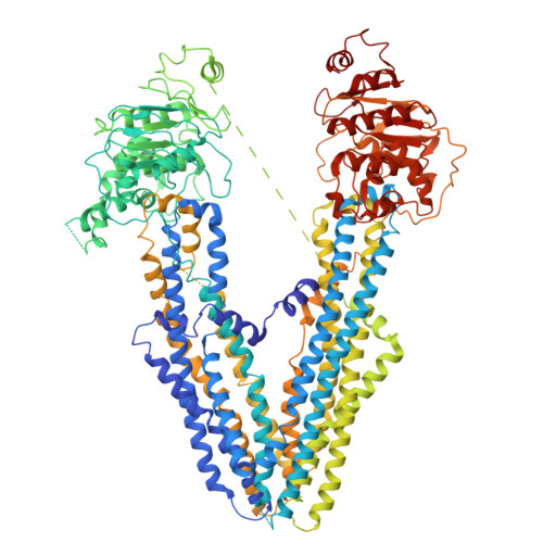 RCSB PDB - 8JVH: Cryo-EM structure of Plasmodium falciparum multidrug ...