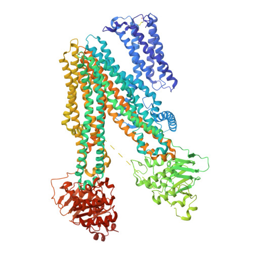RCSB PDB - 8JY4: Cryo-EM structure of human ABC transporter ABCC2 in ...