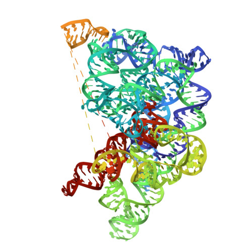 RCSB PDB - 8K15: The Streptococcus azizii ORF-less Group IIC intron ...