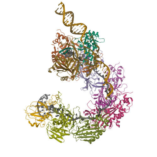 RCSB PDB - 8K28: ICP1 Csy-dsDNA complex (form 1)