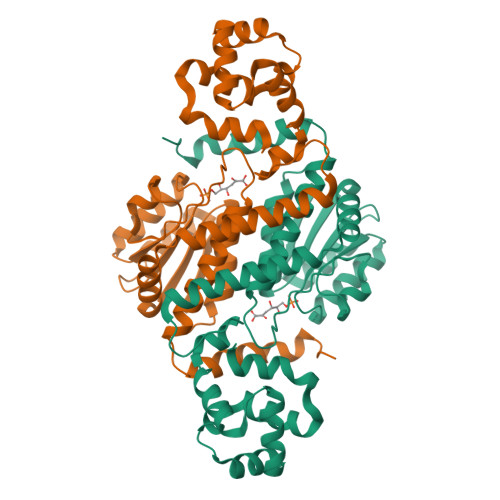 RCSB PDB - 8K3B: The Pseudomonas Aeruginosa RccR Protein Complexed With ...