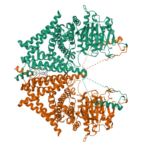 RCSB PDB - 8K3R: S. cerevisiae Chs1 in apo state incubated