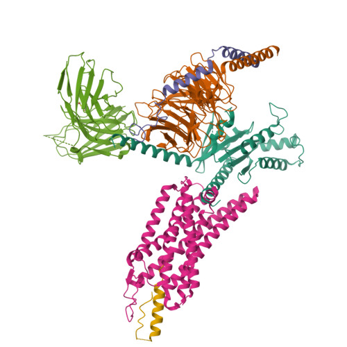 RCSB PDB - 8K6O: Structural complex of neuropeptide Y receptor 1