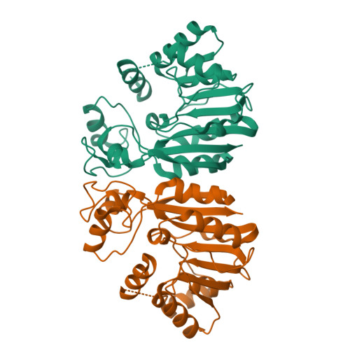 RCSB PDB - 8K76: Crystal structure of S-adenosylmethionine 