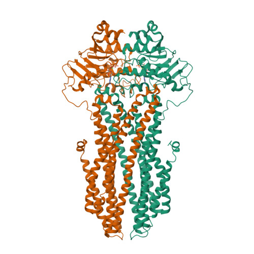 RCSB PDB - 8K7A: Cryo-EM structure of nucleotide-bound ComA E647Q 