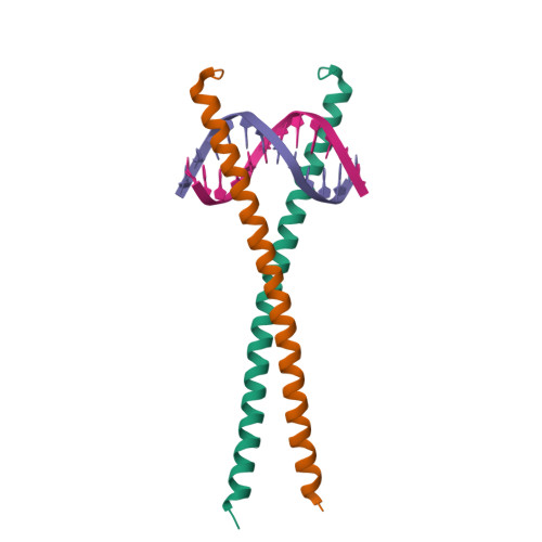 RCSB PDB - 8K8D: Crystal structure of C/EBPbeta BZIP domain bound to a ...