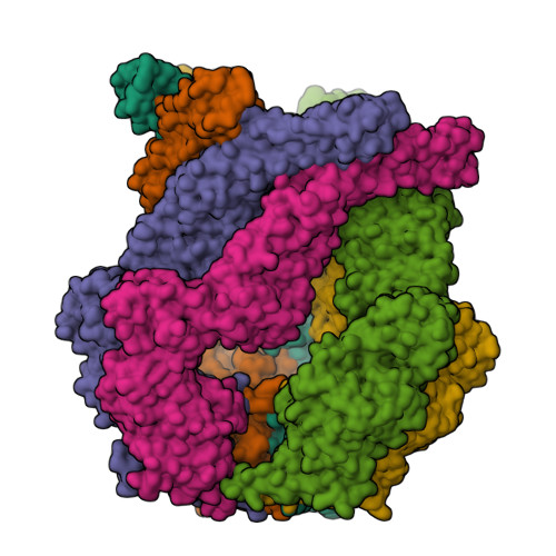 RCSB PDB - 8K8W: CryoEM structure of LonC protease open hexamer, apo state