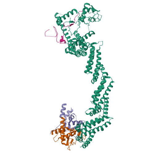 Rbx1 Structure RCSB PDB - 8K9I: Structure of CUL3-RBX1-KLHL22 complex without CUL3 NA ...