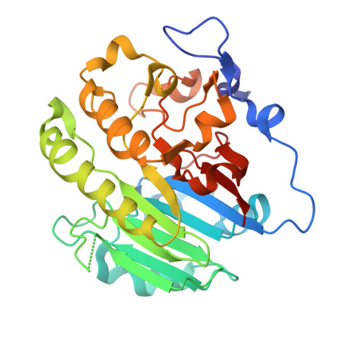 RCSB PDB - 8KA4: Arabidopsis AP endonuclease ARP complex with 21bp THF ...