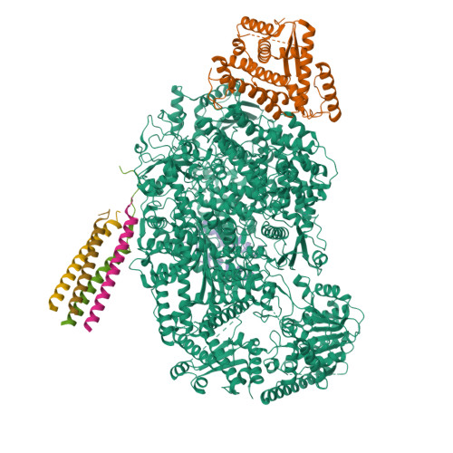 RCSB PDB - 8KDB: Cryo-EM structure of the human parainfluenza virus ...