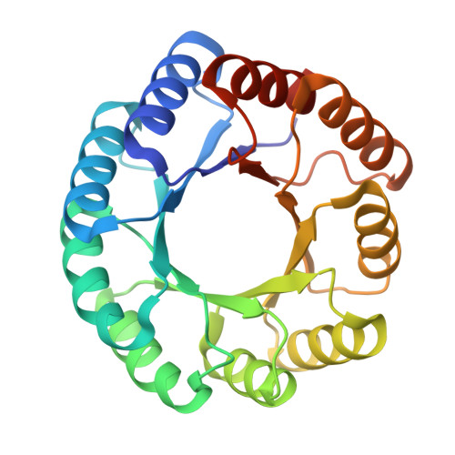 RCSB PDB - 8KDQ: De novo design protein -T03