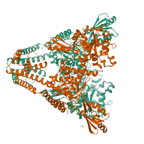 RCSB PDB - 8KE7: Crystal structure of DNA binding and cleavage core of ...