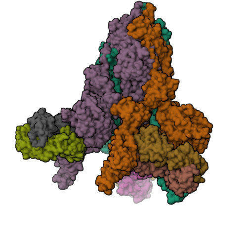 RCSB PDB - 8KER: Structure of SARS-CoV-2 XBB Variant Spike protein ...