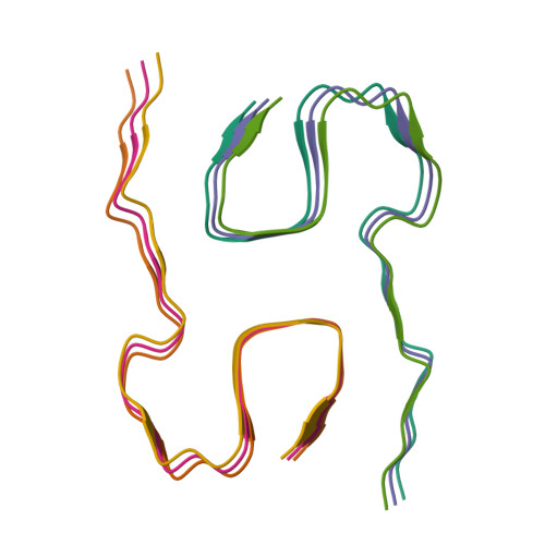 RCSB PDB - 8KEW: The cryo-EM structure of type1 amyloid beta 42 fibril.