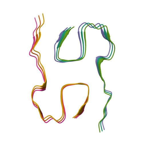 RCSB PDB - 8KF4: The cryo-EM structure of type1 amyloid beta 42 fibril ...