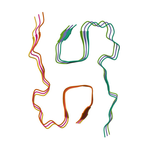 RCSB PDB - 8KF5: The cryo-EM structure of type1 amyloid beta 42 fibril ...