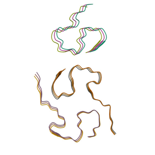 RCSB PDB - 8KF6: The cryo-EM structure of AV-45 bound type3 amyloid ...
