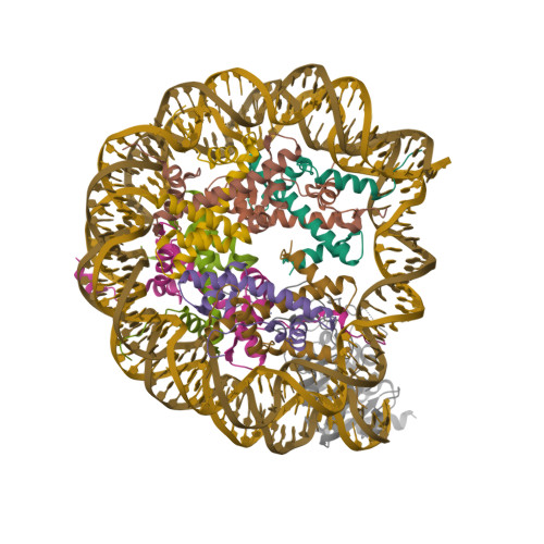 rcsb-pdb-8of4-nucleosome-bound-human-sirt6-composite