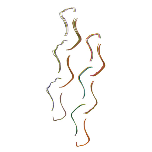 RCSB PDB - 8OH2: Structure of the Tau-PAM4 Type 1 amyloid fibril