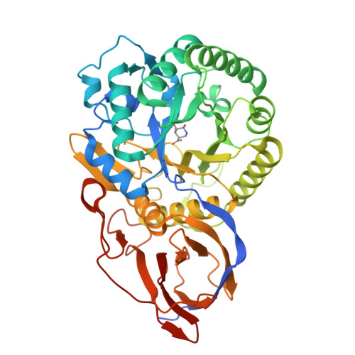 RCSB PDB - 8OHT: Crystal structure of Beta-glucuronidase from ...