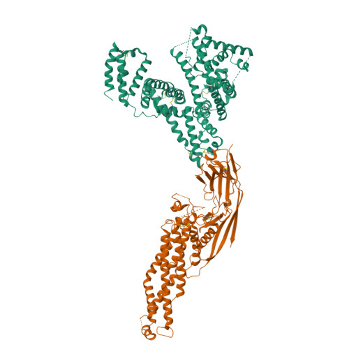 RCSB PDB - 8OI2: Crystal structure of Alb1 megabody in complex with ...