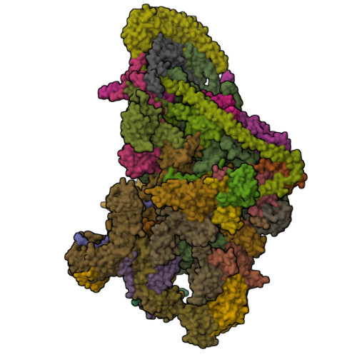 RCSB PDB - 8OIS: 28S human mitochondrial small ribosomal subunit with ...