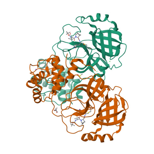 RCSB PDB 8OKM Crystal Structure Of F2F 2020197 00X Bound To The Main