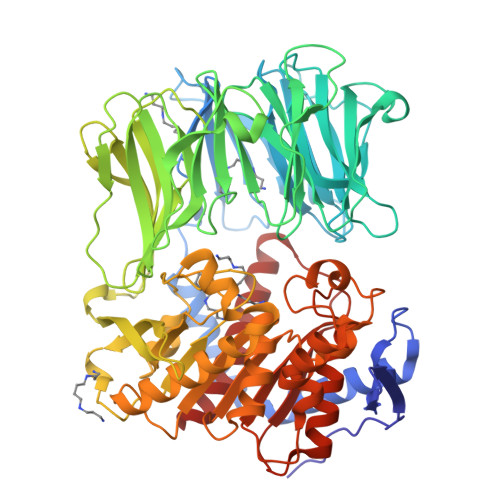 RCSB PDB - 8ONO: Modified Oligopeptidase B From S. Proteamaculans In ...